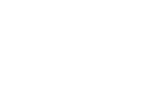 Swissviptransfer24 payments Apple Pay
