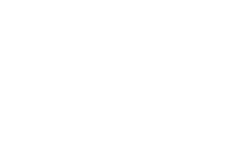 Swissviptransfer24 payments contactless