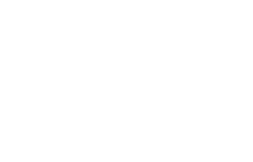 Swissviptransfer24 payments Samsung Pay