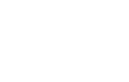 Swissviptransfer24 payments Visa
